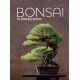 Bonsai to może być proste